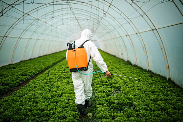 Best Pest Removal Services  in Northwood, IA