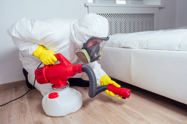 Best Flea Control Services  in Northwood, IA