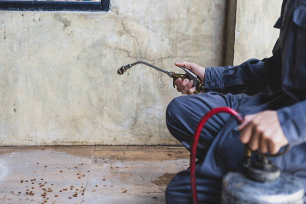 Best Pest Inspection Near Me  in Northwood, IA